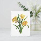 Carte Postale Une multitude dorée de jonquilles brodées (Debout devant)