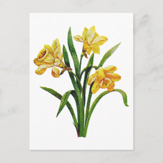 Carte Postale Une multitude dorée de jonquilles brodées