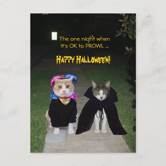 Carte Postale Une nuit C'est bon pour PROWL (Devant)