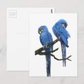 Carte Postale Une paire de macaws Hyacinth (Devant / Derrière)