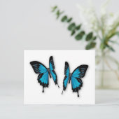 Carte Postale Une paire de papillons bleus tropicaux (Debout devant)