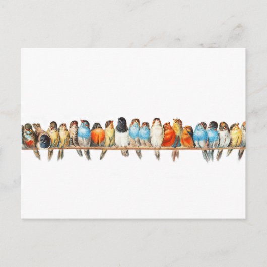 Carte Postale Une perche d'oiseaux - illustration vintage d'oise (Devant)