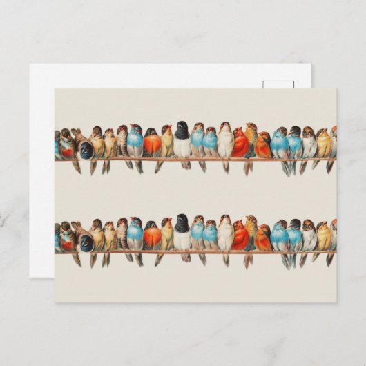 Carte Postale Une perche d'oiseaux par Hector Giacomelli (Devant / Derrière)