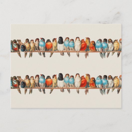 Carte Postale Une perche d'oiseaux par Hector Giacomelli (Devant)