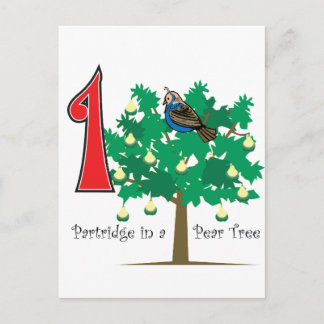 Carte Postale Une perdrix dans un arbre à poires