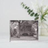 Carte Postale Une petite maison dans les bois (Debout devant)