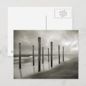 Carte Postale Une photo sépia de vieux postes de plage (Devant / Derrière)