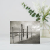 Carte Postale Une photo sépia de vieux postes de plage (Debout devant)