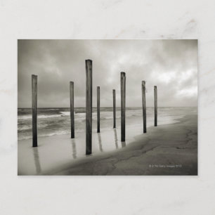 Carte Postale Une photo sépia de vieux postes de plage