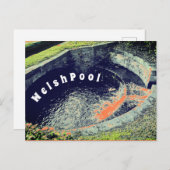 Carte Postale Une piscine orange à Welshpool Photographie (Devant / Derrière)