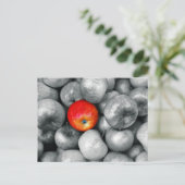 Carte Postale Une pomme rouge (Debout devant)