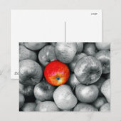 Carte Postale Une pomme rouge (Devant / Derrière)
