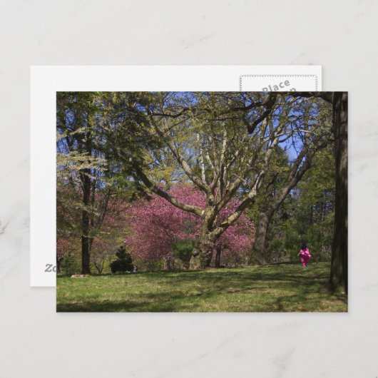 Carte Postale Une promenade (Devant / Derrière)