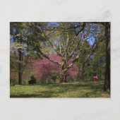 Carte Postale Une promenade (Devant)