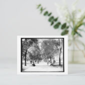 Carte Postale Une promenade à Lincoln Park, Chicago, Illinois Vi (Debout devant)