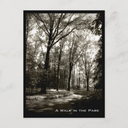 Carte Postale Une promenade dans le parc (Devant)