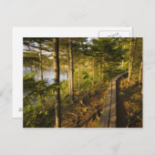 Carte Postale Une promenade en bois dans le parc national Acadia (Devant / Derrière)
