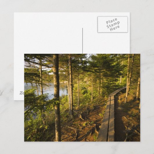 Carte Postale Une promenade en bois dans le parc national Acadia (Devant / Derrière)