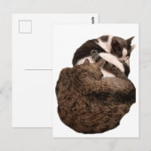 Carte Postale Une queue de deux (Devant / Derrière)