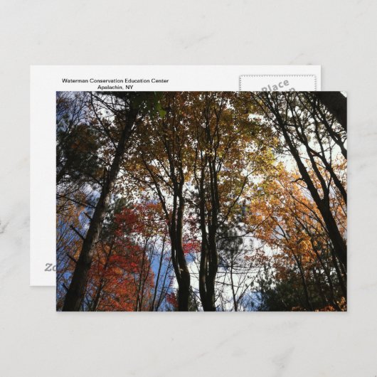 Carte Postale Une randonnée en chute libre dans l'État de New Yo (Devant / Derrière)