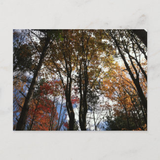 Carte Postale Une randonnée en chute libre dans l'État de New Yo