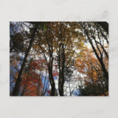 Carte Postale Une randonnée en chute libre dans l'État de New Yo (Devant)