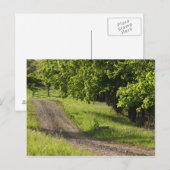 Carte Postale Une route agricole à Ipswich, Massachusetts. (Devant / Derrière)