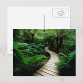 Carte Postale Une route au milieu de la forêt sauvage (Devant / Derrière)