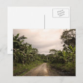 Carte Postale Une route isolée dans la jungle (Devant / Derrière)