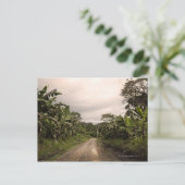 Carte Postale Une route isolée dans la jungle (Debout devant)