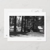 Carte Postale Une scène de camping (Devant / Derrière)