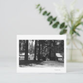 Carte Postale Une scène de camping (Debout devant)