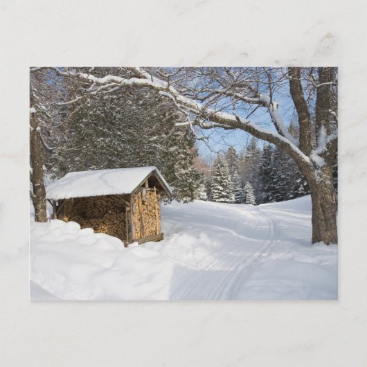 Carte Postale Une scène enneigée au Little Lyford Pond de l'AMC (Devant)