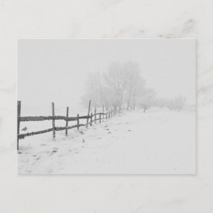 Carte Postale Une scène hivernale