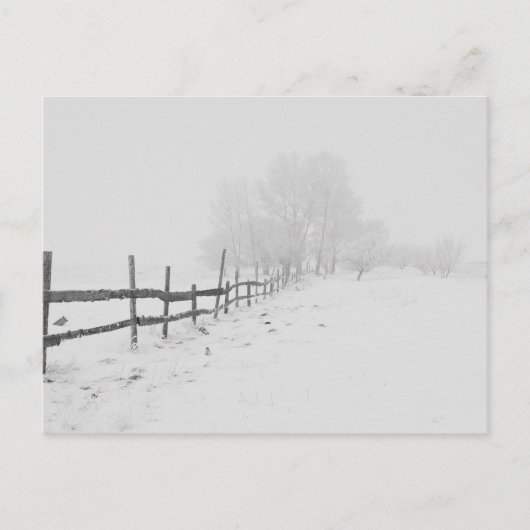 Carte Postale Une scène hivernale (Devant)