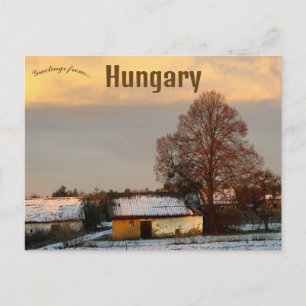 Carte Postale Une scène rurale en Hongrie à l'aube