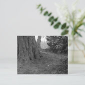 Carte Postale Une seule fleur (Debout devant)