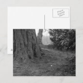 Carte Postale Une seule fleur (Devant / Derrière)