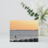 Carte Postale Une Soirée Calme (Debout devant)