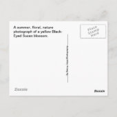 Carte Postale Une Susan Blossom aux yeux noirs (Dos)