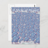 Carte Postale Une taupe Moles Cartoon Avogadro Constant (Devant / Derrière)