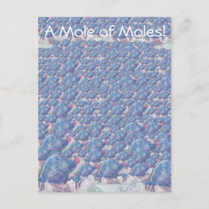 Carte Postale Une taupe Moles Cartoon Avogadro Constant