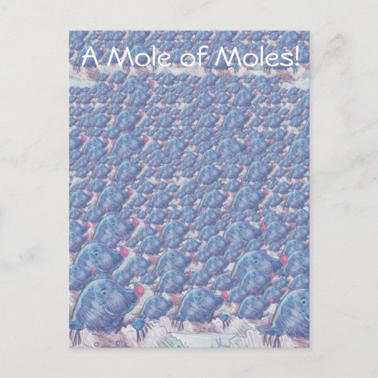 Carte Postale Une taupe Moles Cartoon Avogadro Constant (Devant)