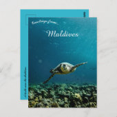 Carte Postale Une Tortue près des Maldives (Devant / Derrière)