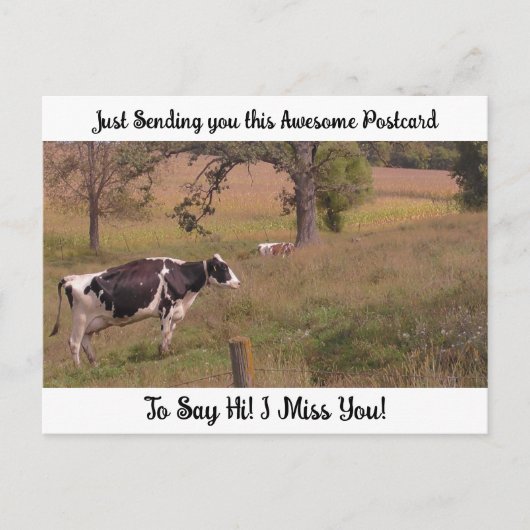 Carte Postale Une vache dans un champ "Je te manque" (Devant)