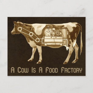 Carte Postale Une Vache Est Une Usine De Nourriture - Plus De La