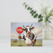 Carte Postale Une vache tenant un panneau stop (Debout devant)