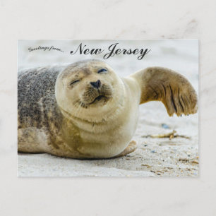 Carte Postale Une vague et un clin d'œil d'un phoque dans le New