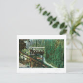 Carte Postale Une voie Pittoresque le long de la rivière Sacrame (Debout devant)