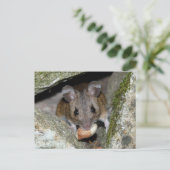 Carte Postale Une vraie bouche (Debout devant)